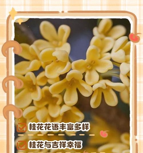 桂花的花语与寓意（传承千年的桂花之美）