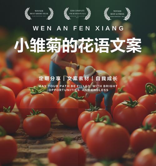 白色小雏菊的花语（探索白色小雏菊所传递的深刻寓意）