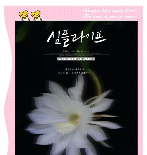 昙花（昙花花语及其隐含的深意）