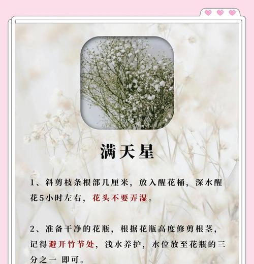 以夕雾花的传说与花语（神秘的以夕雾花，浪漫的传说和花语）