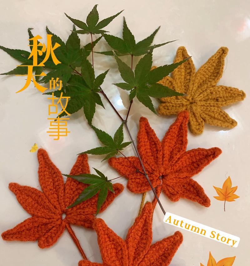 枫叶的象征意义及文化内涵（红枫叶）