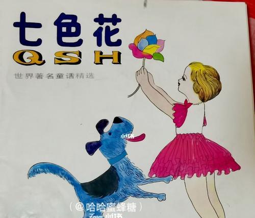 头像中的七色花寓意何在？它们象征着什么？