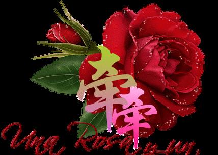 三八节送什么花最合适？它的寓意是什么？