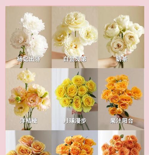 浪漫花语大全套装包含哪些花？