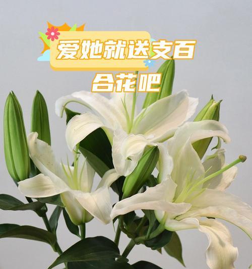 花寓意的祝福是长存的？花语中有哪些表达永恒的元素？