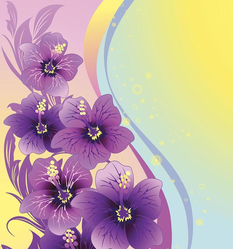 紫色芙蓉花代表的意义是什么？有何文化内涵？