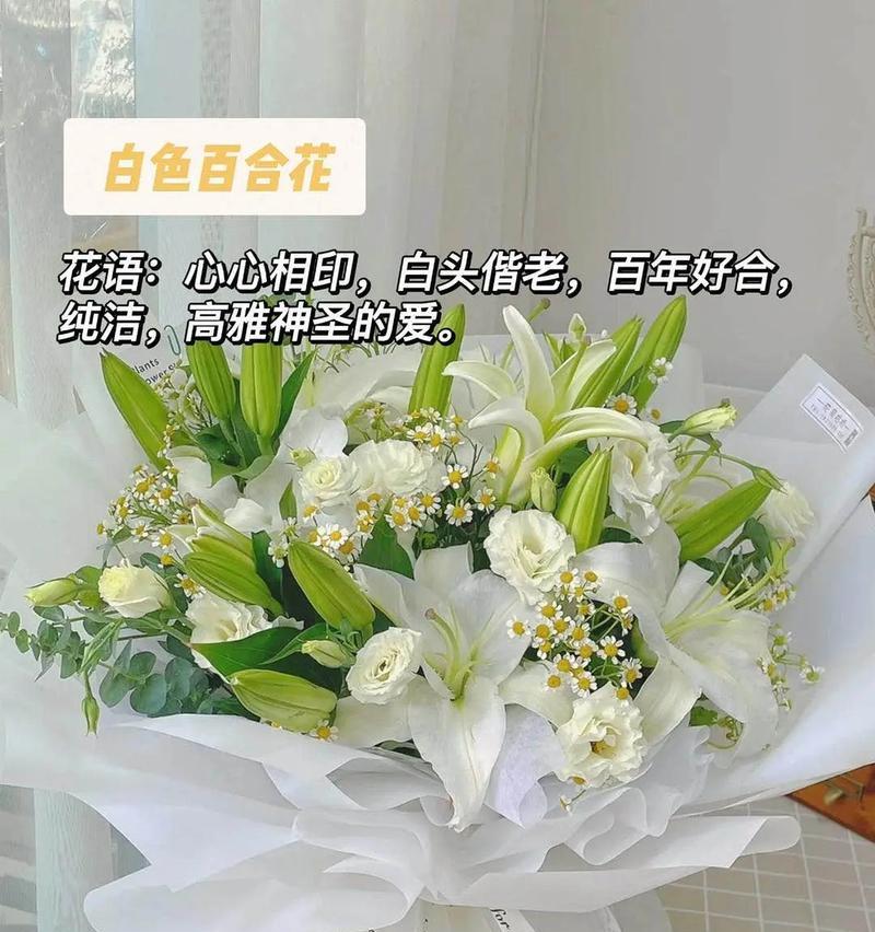 白如意花的寓意是什么？它在花语中承载了哪些祝福？