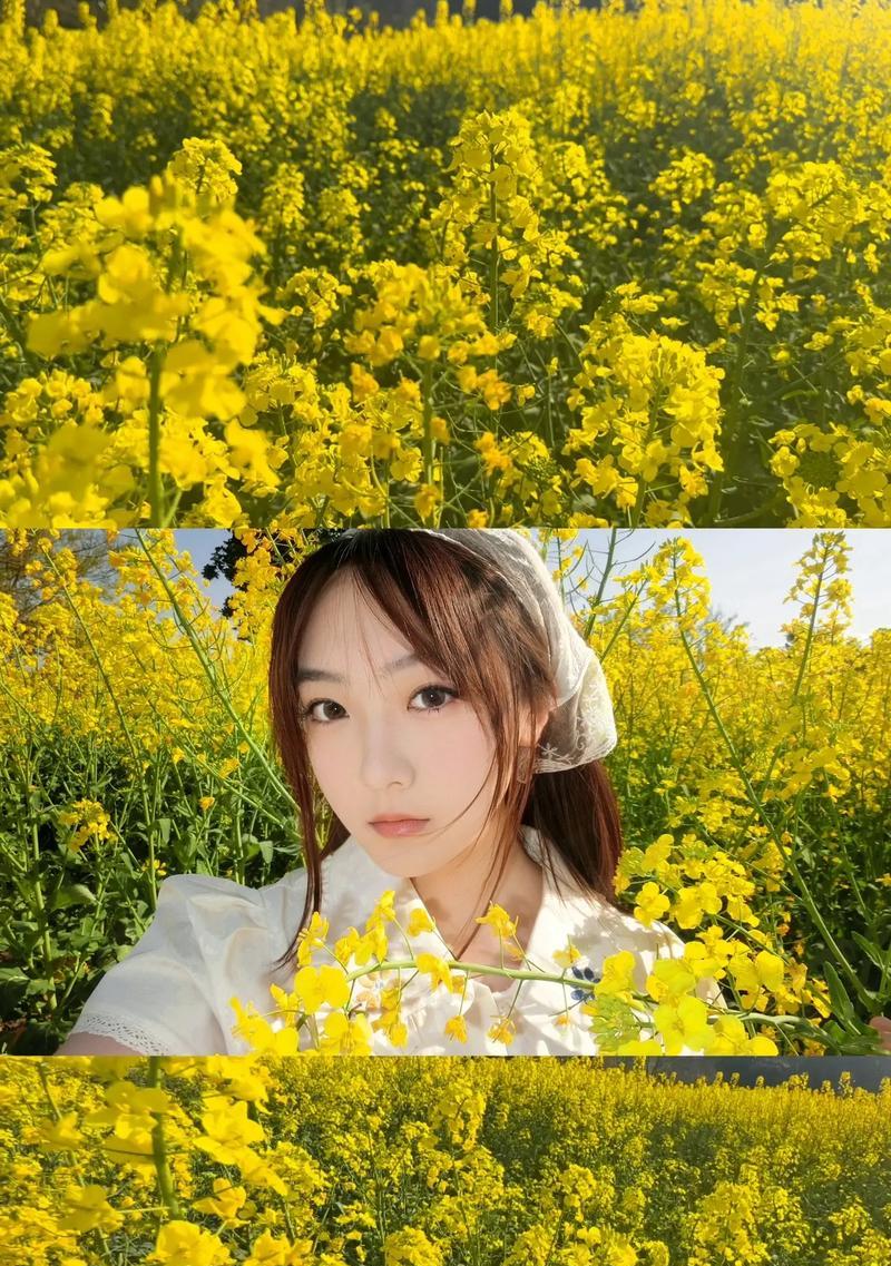 奔向快乐的花语是什么？哪种花代表奔向快乐？