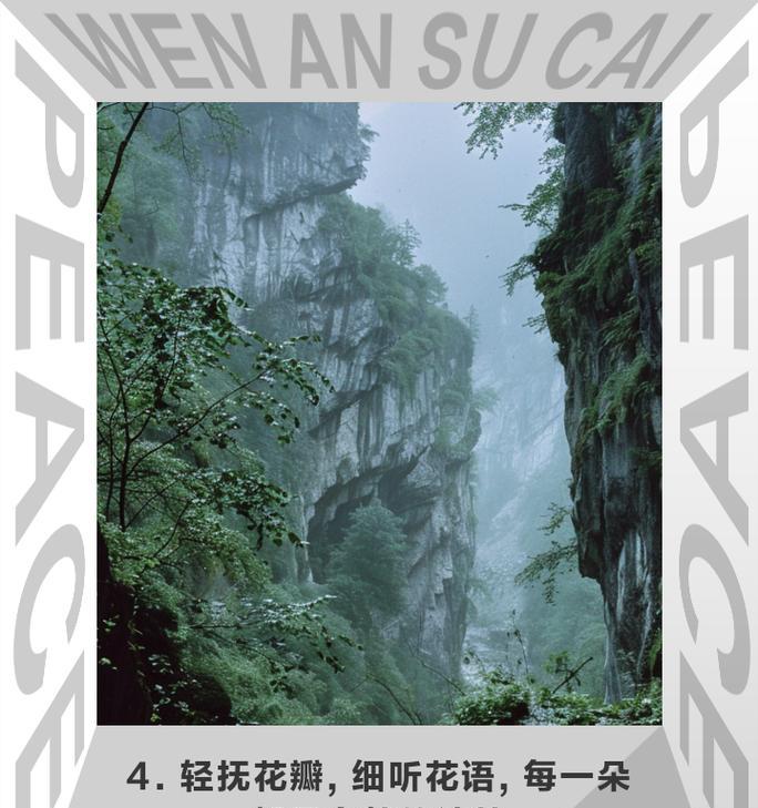 花的寓意中哪些句子表达爱情？爱情花语有哪些经典句子？