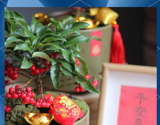 春节象征意义的花有哪些？它们代表什么？