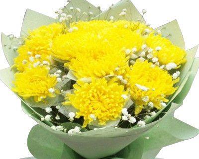 清明节送花代表什么？有哪些花是这个节日的传统选择？