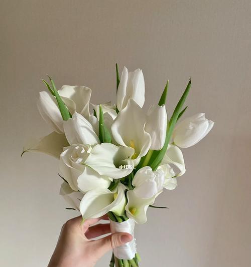 白色捧花代表了什么？白色捧花的象征意义是什么？