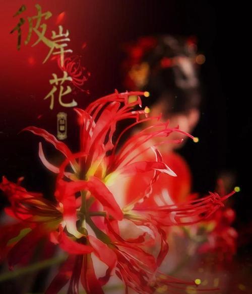 一路生花代表了什么爱情寓意？它的含义是什么？