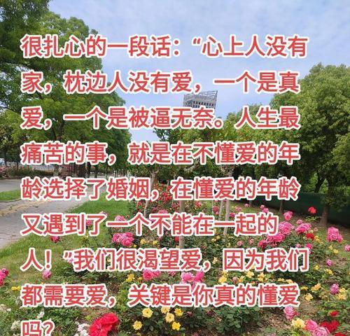 一路生花代表了什么爱情寓意？它的含义是什么？