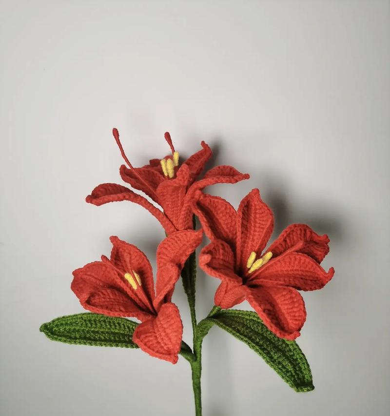 白色六出花的寓意花语是什么？它在花语中代表什么？