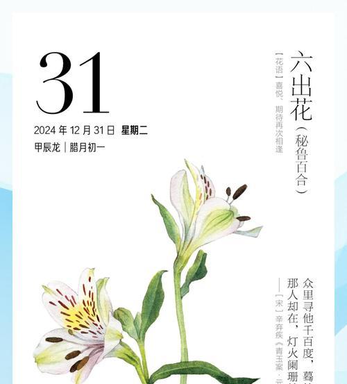 白色六出花的寓意花语是什么？它在花语中代表什么？