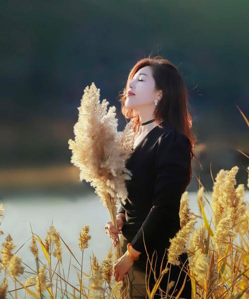 黄色芦苇花代表什么？它的象征意义有哪些？