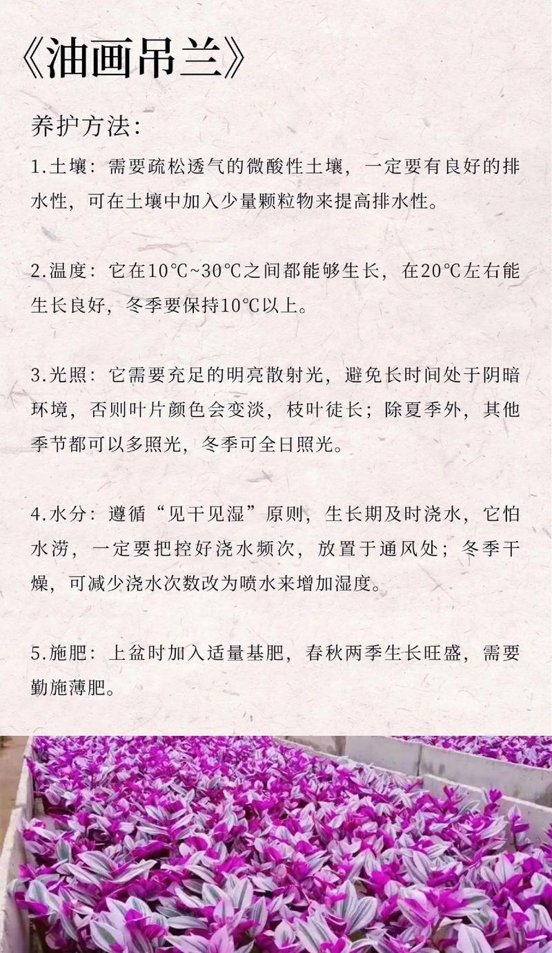 浪漫花花语句是什么？如何用花语表达爱意？