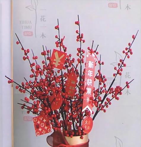 银柳红色的花语是什么？银柳花有哪些特别的含义？