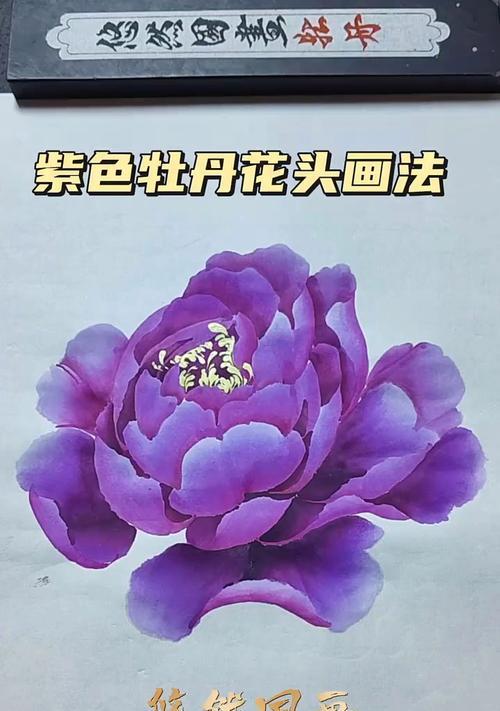 紫色花象征什么？紫色花的含义是什么？