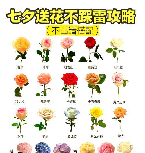 送花特色花语大全是什么？如何挑选寓意独特的花？