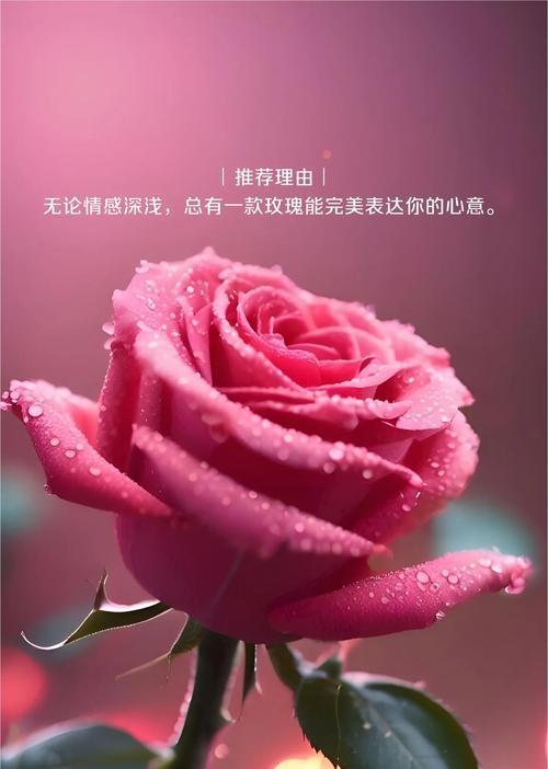 十年爱情象征什么花？选择哪种花表达十年深情？