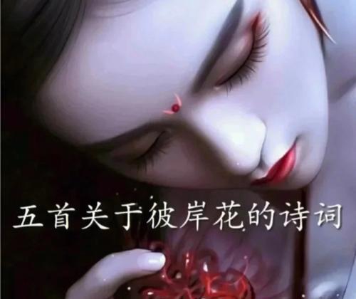 彼岸花祈福的含义是什么？
