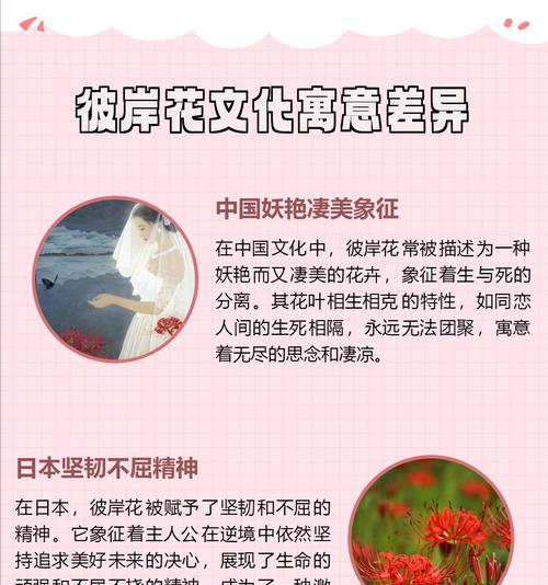 彼岸花祈福的含义是什么？