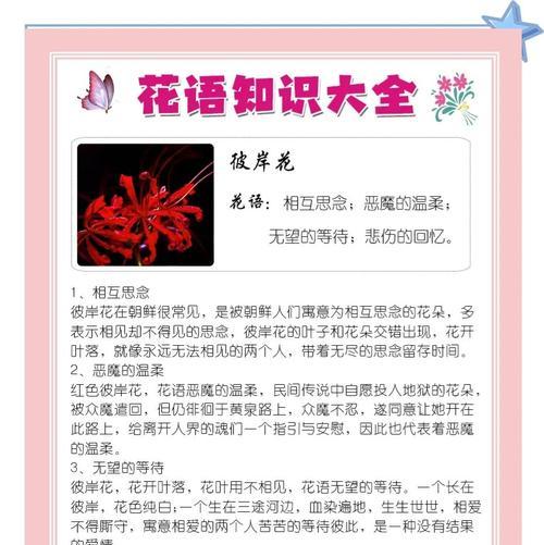 彼岸花祈福的含义是什么？