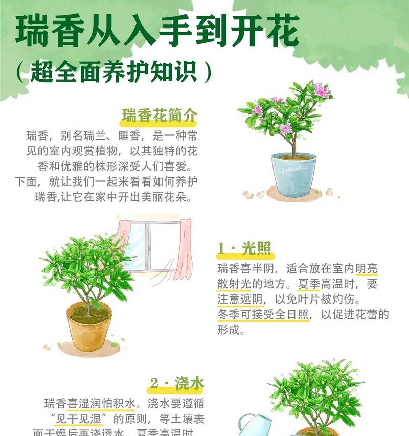 祥瑞花有哪些？它们的寓意是什么？