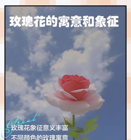 手捧玫瑰花代表什么？为什么玫瑰是爱情的象征？