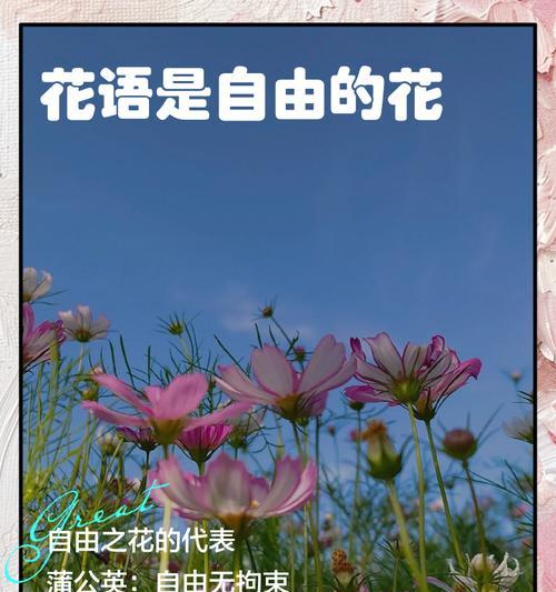 花的寓意是什么？如何用花语表达祝福？