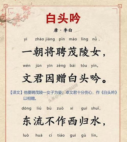 白色花好寓意的诗有哪些？它们传达了怎样的情感？