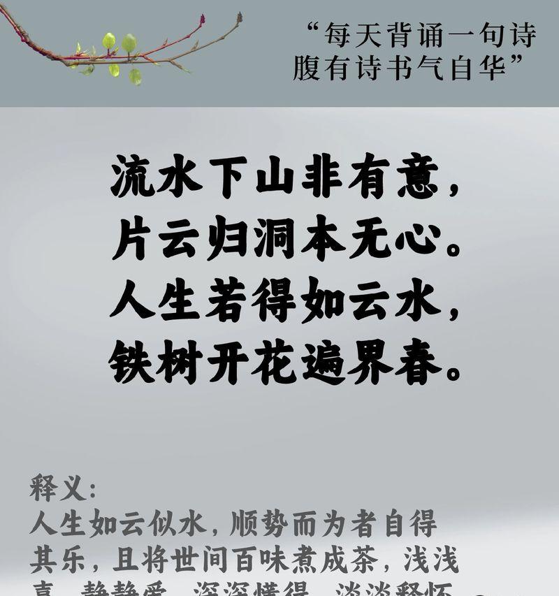 白色花好寓意的诗有哪些？它们传达了怎样的情感？