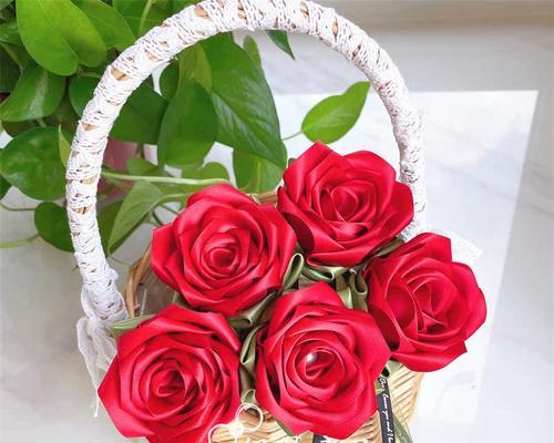 教师节送红笔花有何寓意？
