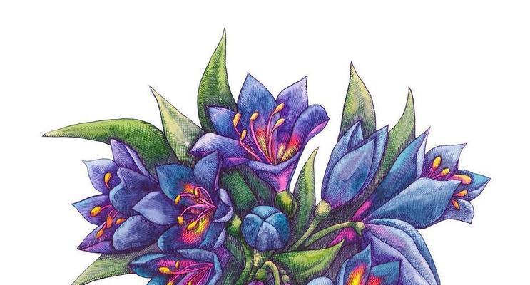 哪种蓝色花象征着上帝？它的花语和象征意义是什么？