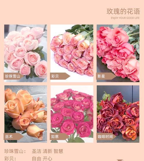 玫瑰颜色和数量有何寓意？