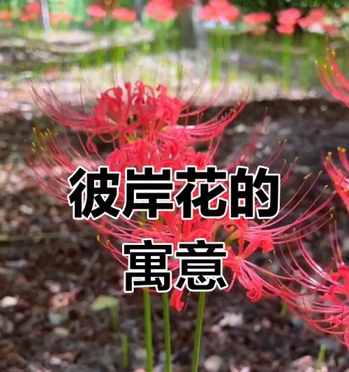 蓝色龙纹身代表什么？花腿上的蓝色龙有何寓意？