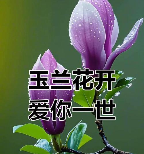 蓝色龙纹身代表什么？花腿上的蓝色龙有何寓意？