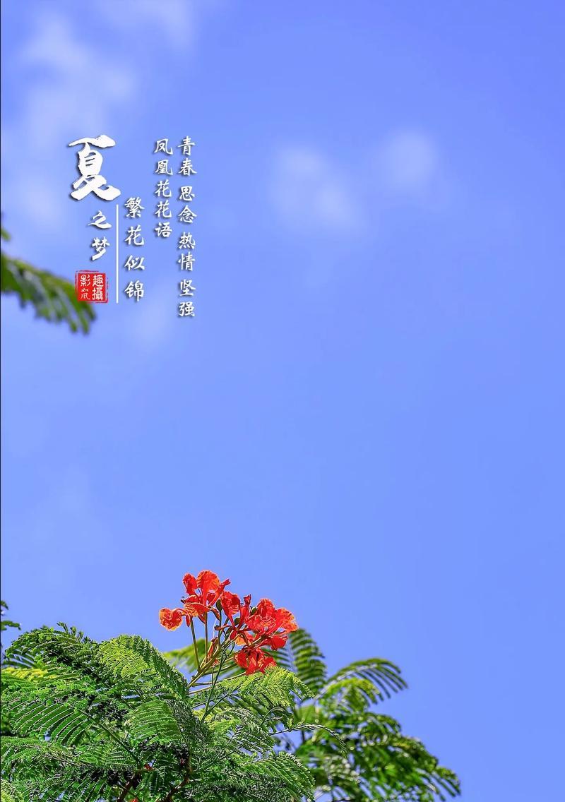哪种花寓意勇敢快乐？勇敢快乐的花语有哪些？