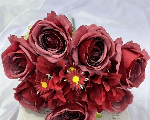 红色小雏菊捧花代表什么意义？