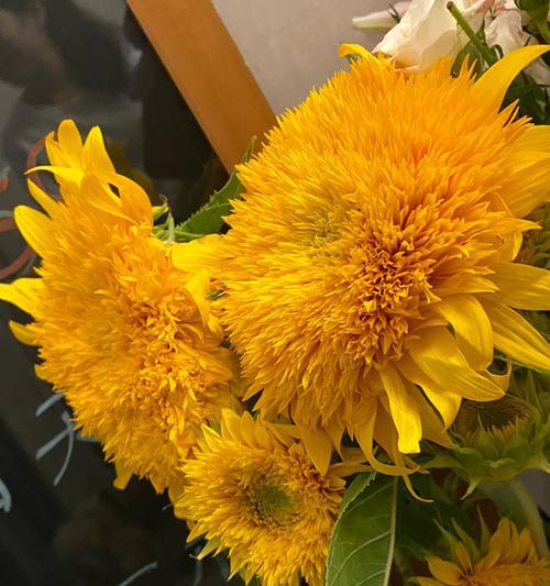 黄色和橘色手捧花的含义是什么？它们象征着什么？