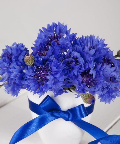 蓝色黄色彩带寓意的花是什么？蓝色黄色彩带花有哪些寓意？