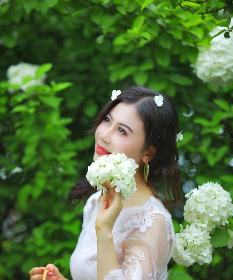 白色绣球花代表什么？绣球花的花语有哪些？