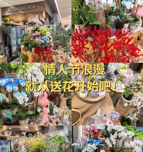 情人节送花和戒指有什么特别寓意？它们的花语和象征是什么？