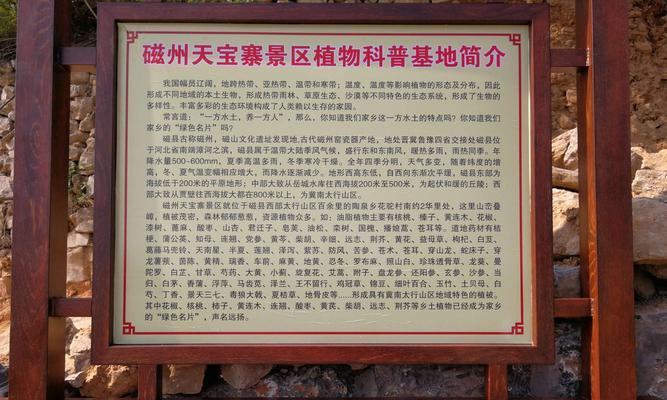 花驼村的历史背景是什么？花驼村的意义何在？