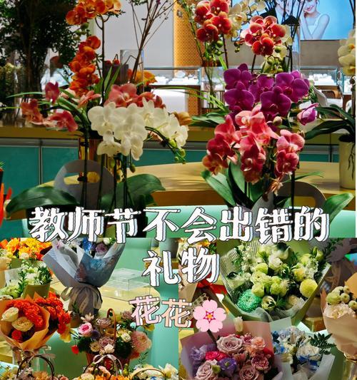 教师节送什么花最合适？不同花的含义是什么？