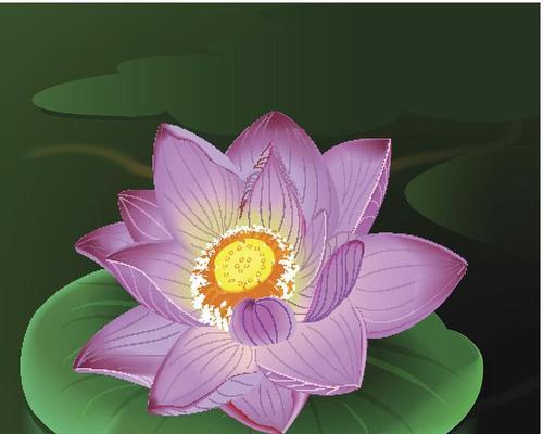 用粉色的花做头像寓意是什么？它传递了怎样的信息？