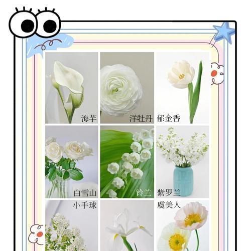 什么花寓意纯洁的爱情？