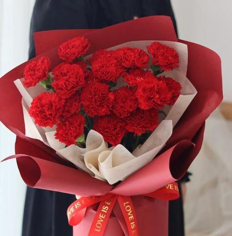 春节摆放红色花有什么寓意？红色花在春节的花语是什么？